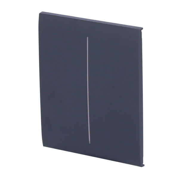 AJ-CENTERBUTTON-2G-GRA