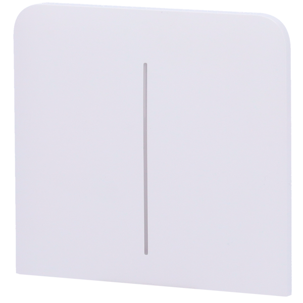 AJ-SIDEBUTTON-2G-W-VERT